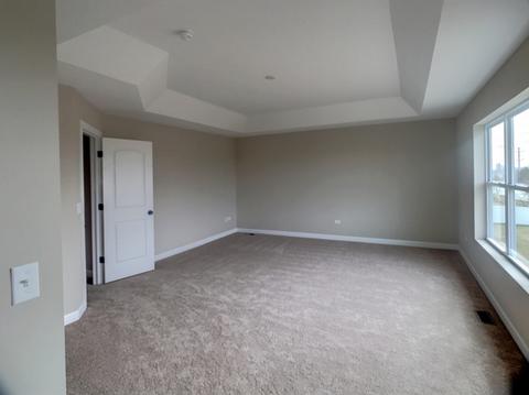 12800 Tipperary Ln, Plainfield, IL 60585 photo 16