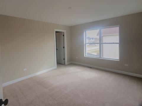 12800 Tipperary Ln, Plainfield, IL 60585 photo 21
