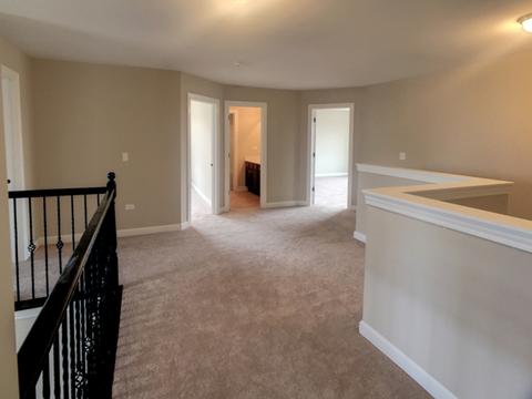 12800 Tipperary Ln, Plainfield, IL 60585 photo 15