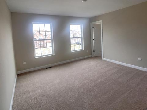 12800 Tipperary Ln, Plainfield, IL 60585 photo 24