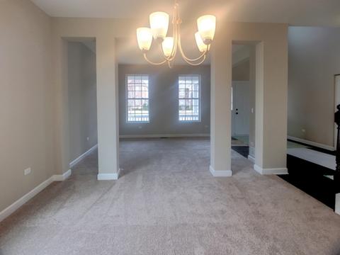 12800 Tipperary Ln, Plainfield, IL 60585 photo 6