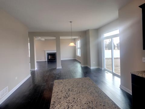 12800 Tipperary Ln, Plainfield, IL 60585 photo 10