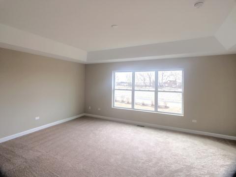 12800 Tipperary Ln, Plainfield, IL 60585 photo 17