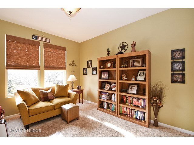 24001 Norfolk Ln, Plainfield, IL 60585 photo 3