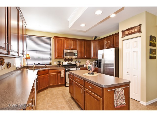 24001 Norfolk Ln, Plainfield, IL 60585 photo 4