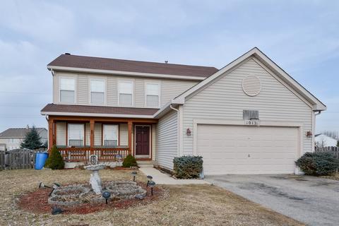 1013 Simms Ct, Plano, IL 60545 photo 1
