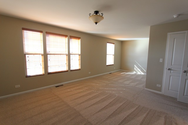 1095 Crane Pointe Rd, Elgin, IL 60124 photo 8