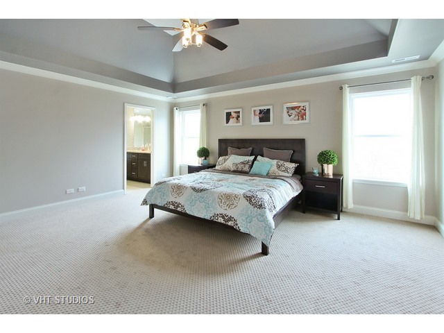 310 Rush St, Roselle, IL 60172 photo 16