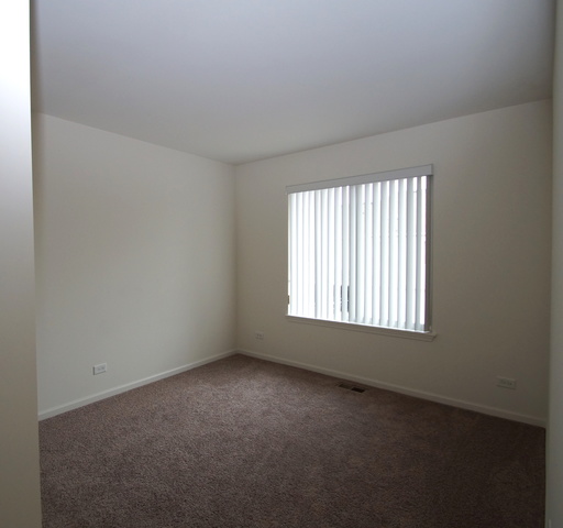 14524 Thomas Jefferson Dr, Plainfield, IL 60544 photo 7