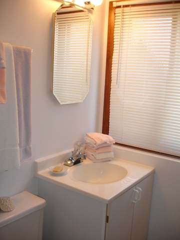 1663 W Stone Ave, Addison, IL 60101 photo 15