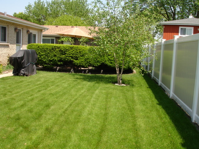 1663 W Stone Ave, Addison, IL 60101 photo 3
