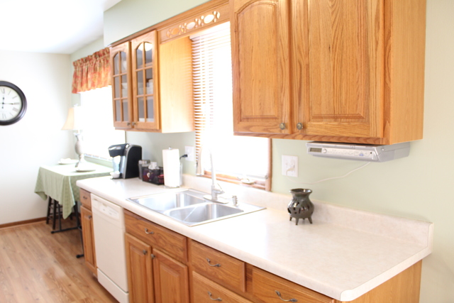 16 Lockman Cir, Elgin, IL 60123 photo 9