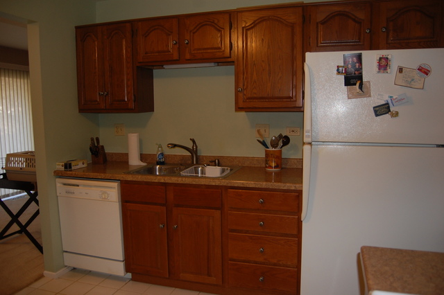 1306 Springwood Dr #A1, Schaumburg, IL 60193 photo 6