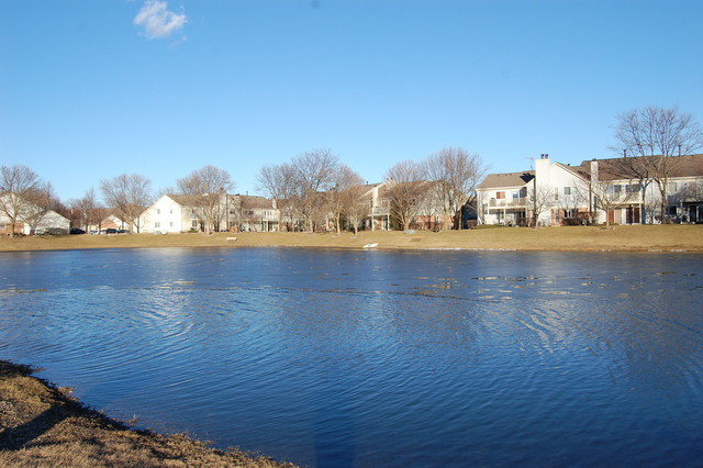 1306 Springwood Dr #A1, Schaumburg, IL 60193 photo 12