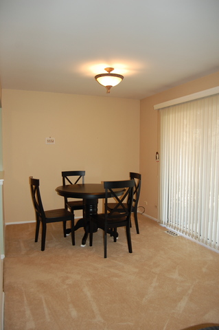 1306 Springwood Dr #A1, Schaumburg, IL 60193 photo 4