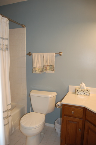 1306 Springwood Dr #A1, Schaumburg, IL 60193 photo 9