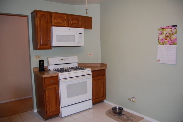 1306 Springwood Dr #A1, Schaumburg, IL 60193 photo 7