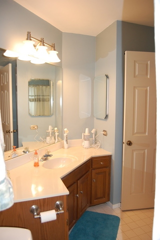 1306 Springwood Dr #A1, Schaumburg, IL 60193 photo 10