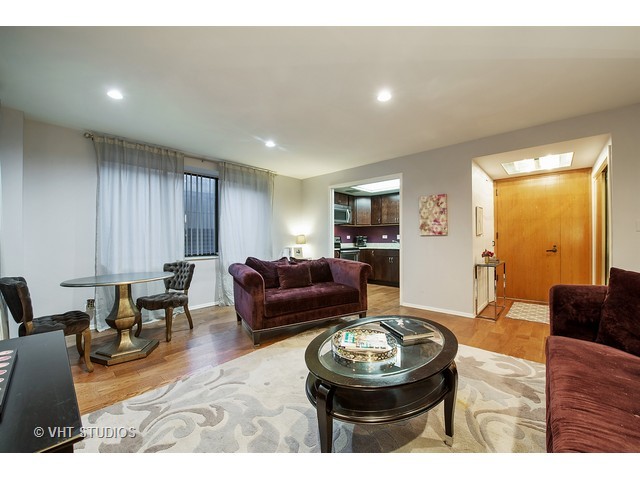 40 E Delaware Pl #404, Chicago, IL 60611 photo 4