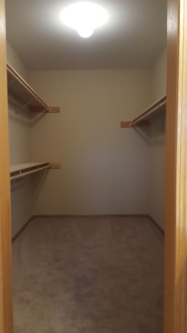 3312 Prairie Trl, Johnsburg, IL 60051 photo 11