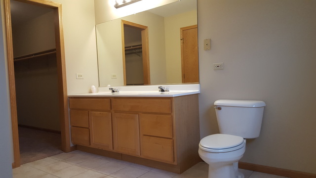 3312 Prairie Trl, Johnsburg, IL 60051 photo 12