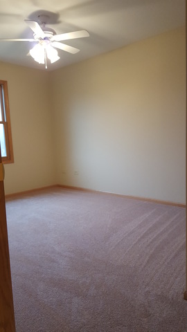 3312 Prairie Trl, Johnsburg, IL 60051 photo 15