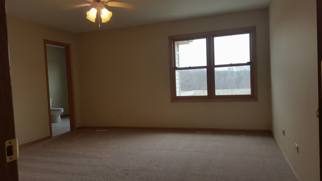 3312 Prairie Trl, Johnsburg, IL 60051 photo 10