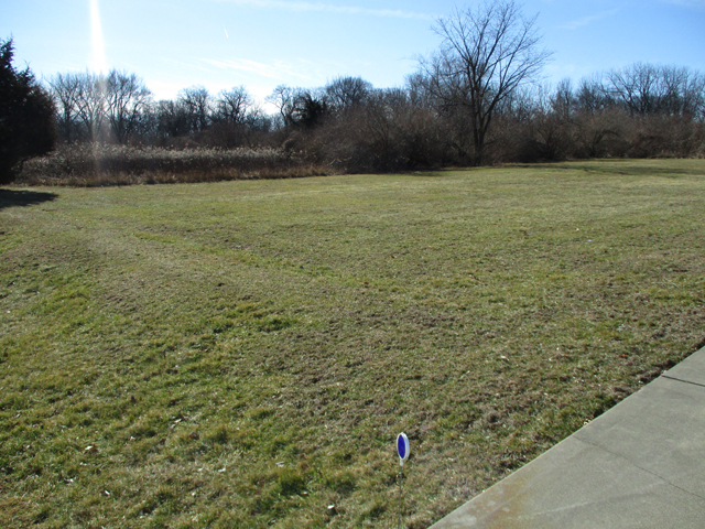 18 Birch Dr, Putnam, IL 61560 photo 20