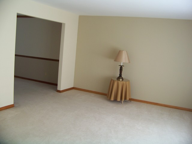 15317 S Meadow Ln S, Plainfield, IL 60544 photo 6