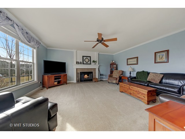 25813 Campbell Ln, Plainfield, IL 60585 photo 4