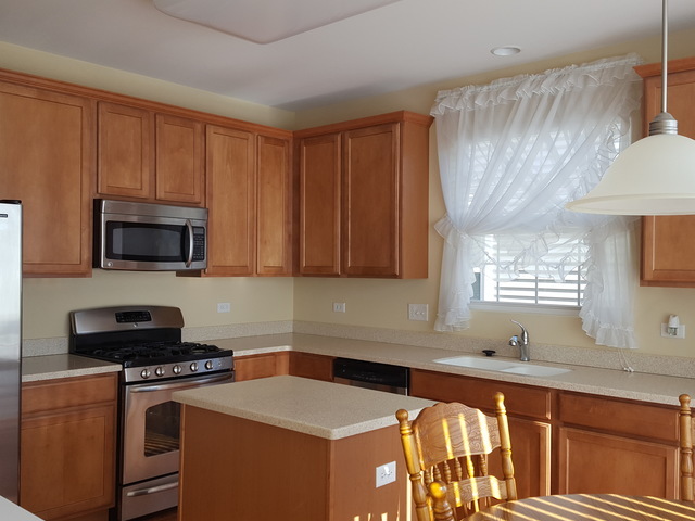 2879 Cascade Falls Cir, Elgin, IL 60124 photo 3