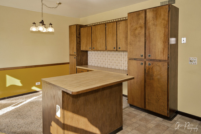 1020 E Bonner Rd, Wauconda, IL 60084 photo 7