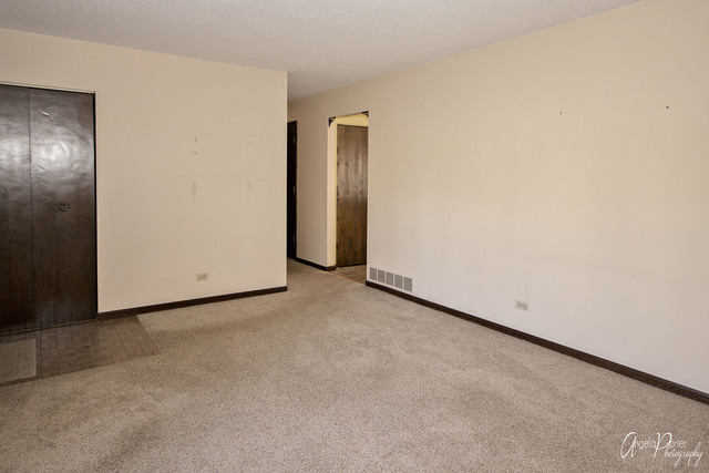 1020 E Bonner Rd, Wauconda, IL 60084 photo 4