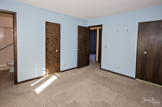 1020 E Bonner Rd, Wauconda, IL 60084 photo 14