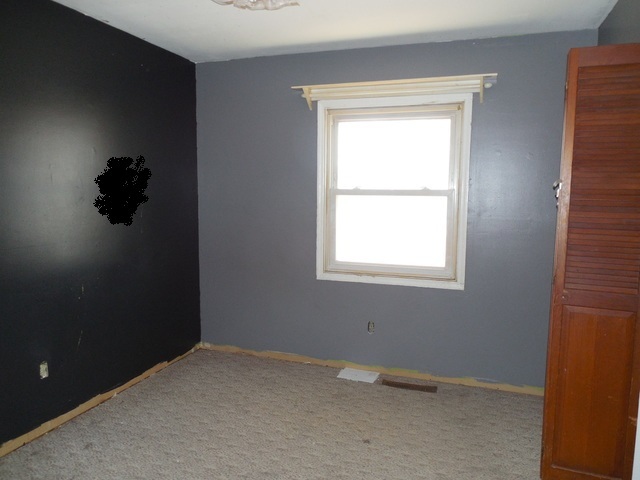 175 S 1st St, Kankakee, IL 60901 photo 12
