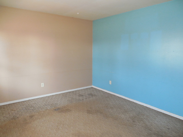 175 S 1st St, Kankakee, IL 60901 photo 5