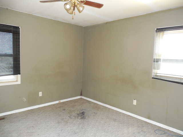 175 S 1st St, Kankakee, IL 60901 photo 9