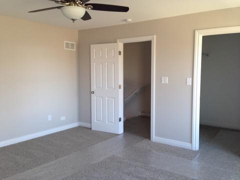 25920 Derby Dr, Monee, IL 60449 photo 18