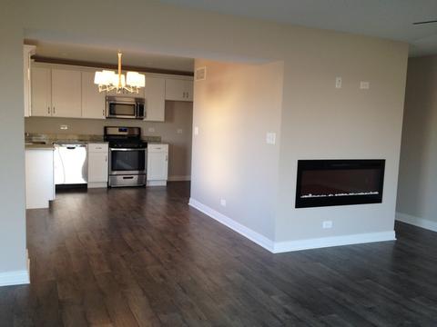 25920 Derby Dr, Monee, IL 60449 photo 7