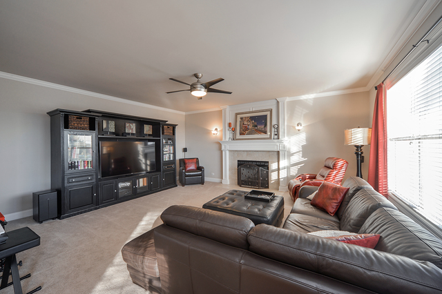 22955 Weinhold Dr, Plainfield, IL 60585 photo 8