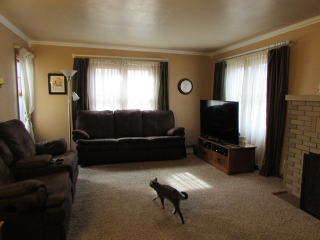1216 S 6th Ave, Kankakee, IL 60901 photo 3