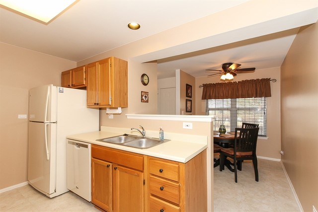 1729 Fairfax Cir E #4, Bartlett, IL 60103 photo 5