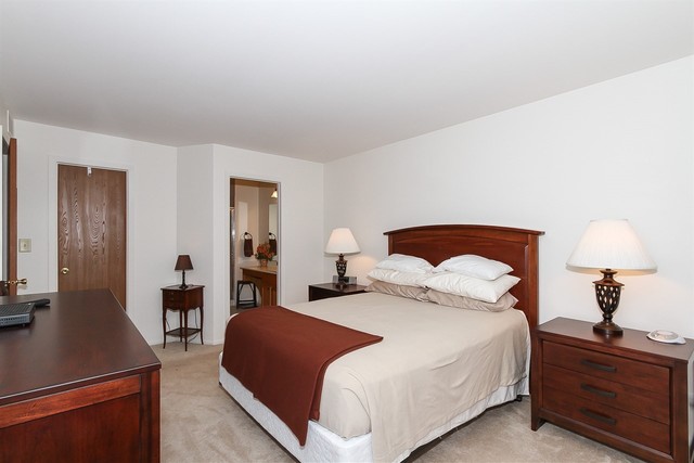 1729 Fairfax Cir E #4, Bartlett, IL 60103 photo 17
