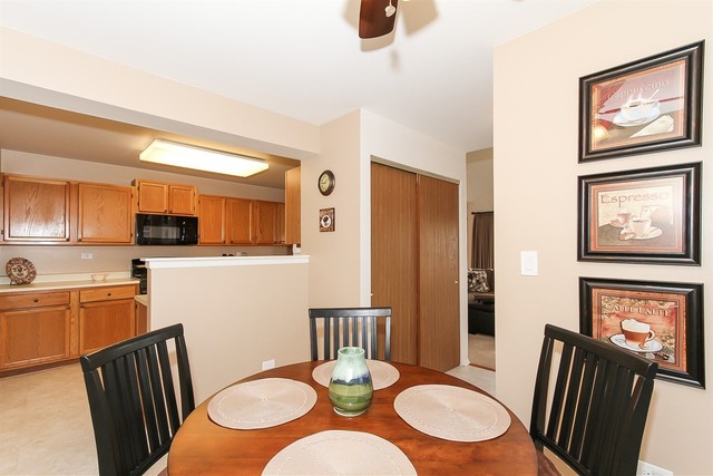 1729 Fairfax Cir E #4, Bartlett, IL 60103 photo 15