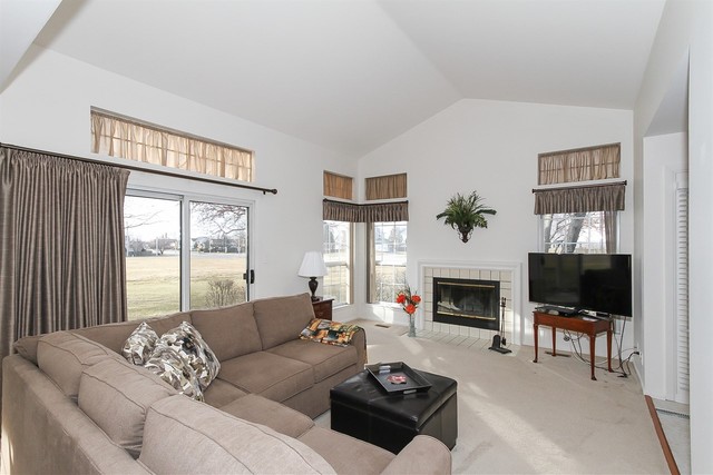 1729 Fairfax Cir E #4, Bartlett, IL 60103 photo 2