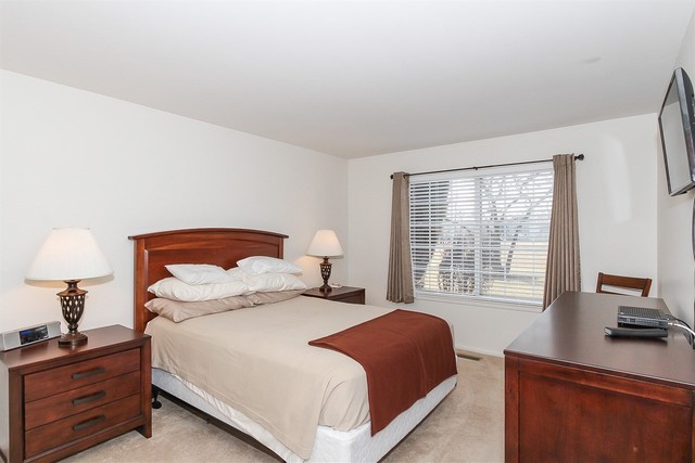 1729 Fairfax Cir E #4, Bartlett, IL 60103 photo 16