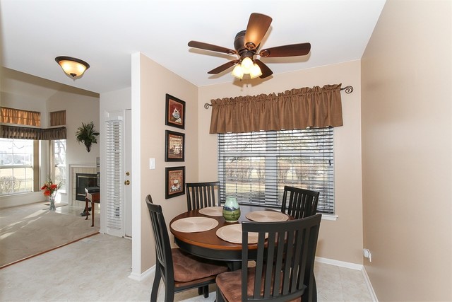 1729 Fairfax Cir E #4, Bartlett, IL 60103 photo 6