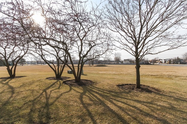 1729 Fairfax Cir E #4, Bartlett, IL 60103 photo 23