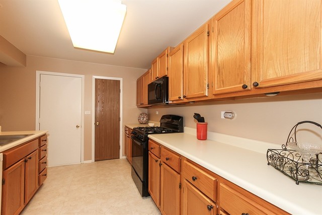 1729 Fairfax Cir E #4, Bartlett, IL 60103 photo 13