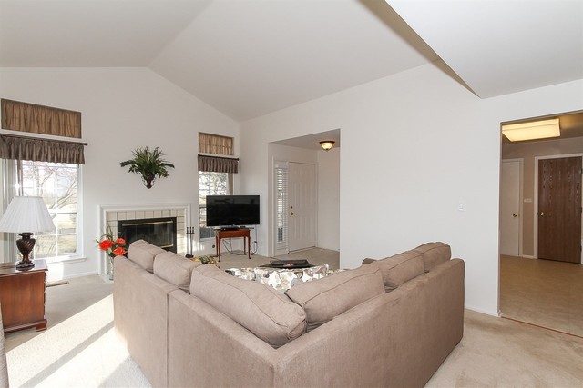 1729 Fairfax Cir E #4, Bartlett, IL 60103 photo 9
